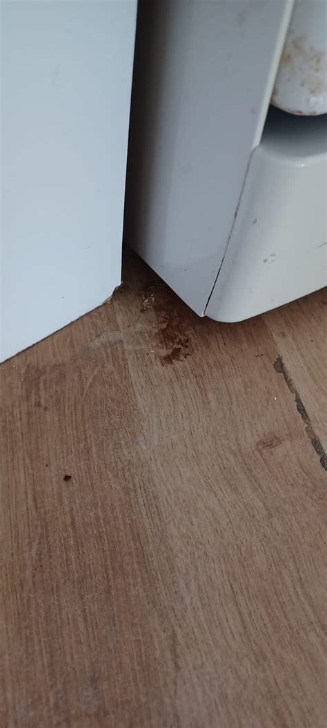 HOLMFIRTH VINEYARD & RESTAURANT (Yorkshire) - Apartment Reviews ...