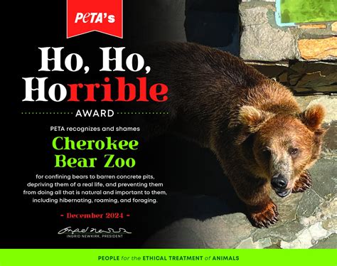 ‘Ho, Ho, Horrible!’ Cherokee Bear Zoo Gets Lump of Coal From PETA for ...