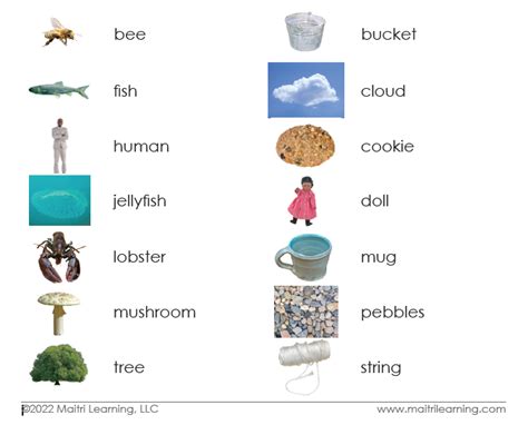 Image result for Sorting Cards Drawing