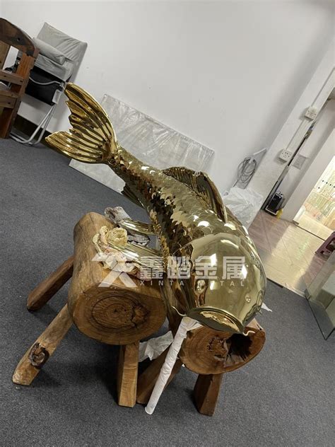 抽象不锈钢鱼雕塑 金色锦鲤 - 知乎
