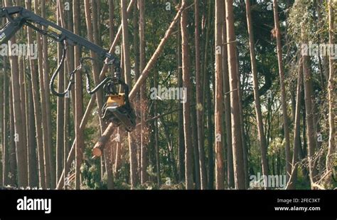 Logging Tech Logging Machines 的图像结果