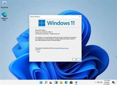 win11怎么升级?windows11系统免费下载升级图文教程-皮皮游戏网