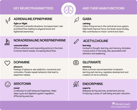 What Is a Neurotransmitter 的图像结果