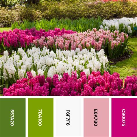 Complementary Spring Colors 的图像结果