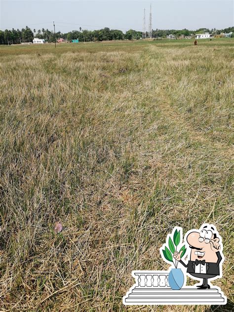 MAA HOTEL AND FASTFOOD, Pipili, 4R5P+VPC - Restaurant reviews