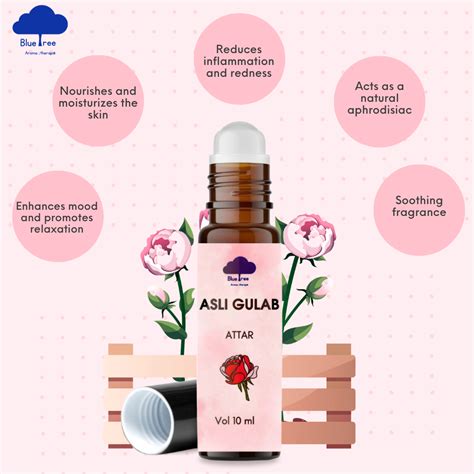 Asli Gulab Attar Roll On (New Launch) – Blue Tree Aroma