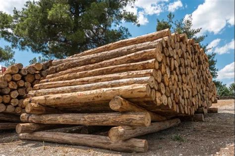 伴随木材价格疯狂上涨过程中,欧洲真的面临木材短缺吗？ -博裕进口报关代理公司