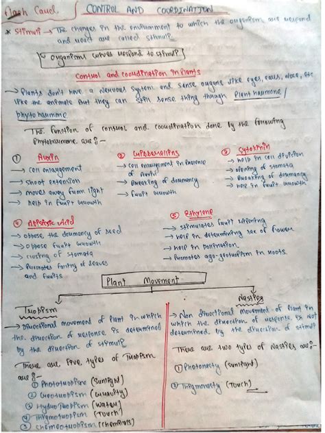 Image result for Control and Coordination Notes From PDF