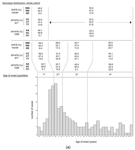Maternal Haplotypes in DHFR Promoter and MTHFR Gene in Tuning Childhood ...