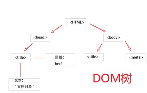 JavaScript and HTML 的图像结果