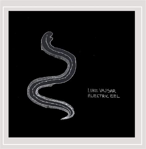 Buy Electric Eel Online at Low Prices in India | Amazon Music Store ...