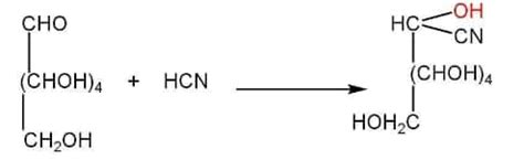 Biomolecules class 12th notes- free ncert class 12 Chemistry Chapter 14 ...
