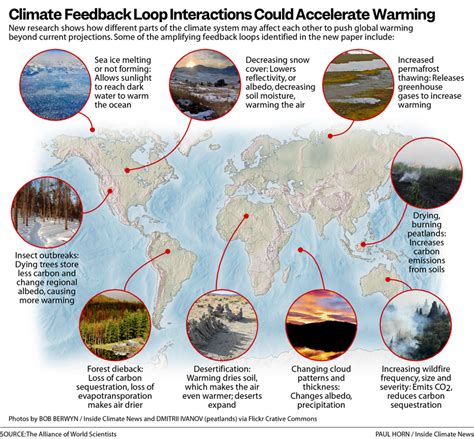 Image result for Negative Feedback Loop Global Warming