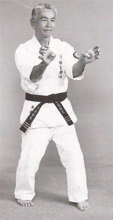 Uechi-Ryu Karate 的图像结果