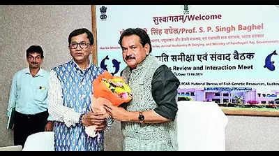 Fish Diseases: Minister launches application detailing fish diseases ...