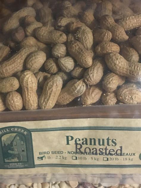 Peanuts – Gilligallou Bird