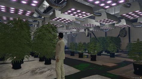 Image result for Fivem Cookies Script