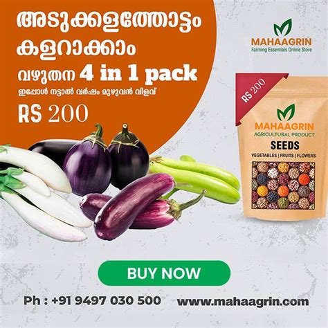 Brinjal 4 in 1 Pack – Mahaagrin