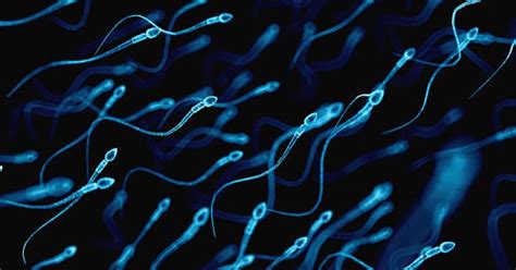 Alarming Drop In Sperm Count Across The World Find Researchers In ...