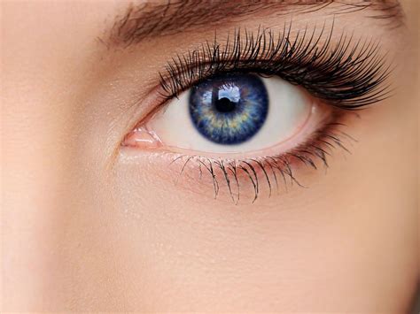 Unveiling the Rarity: Blue Eyes and Dark Brown Hair – A Striking Enigma