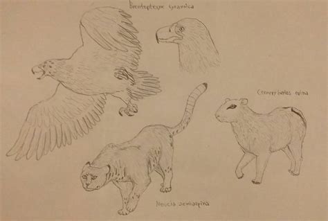 Future Animals 的图像结果