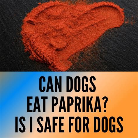 Can Dogs Eat Paprika?+(3 Risks and Benefits) - Oxford Pets