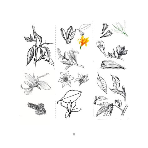 D'source Case Study - Slide Show | Blooming with Elegance | D'Source ...