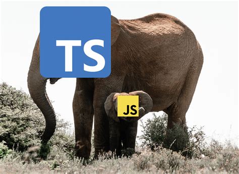 Advance TypeScript: Take Your Development to the Next Level