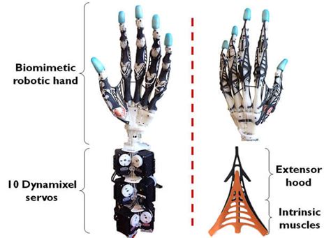 Image result for Robot Hand Movement