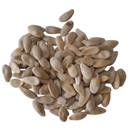 Buy Vegetable Seeds Online in India | Indian Vegetable Seeds for Sale ...