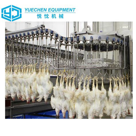 Chicken Processing Machines 的图像结果