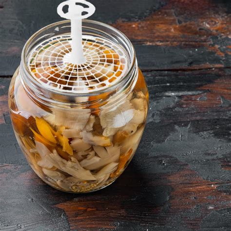 Banziaju Pickle Jar Press, 7.5 Inch Press Plate Plastic India | Ubuy