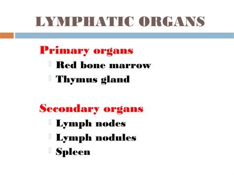 Basic Function of Lymphatic System 的图像结果