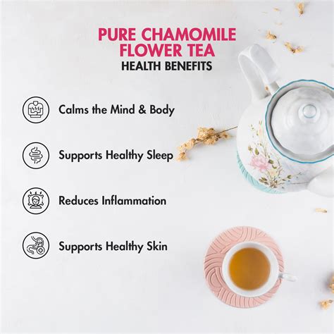Pure Chamomile - TeaTreasure