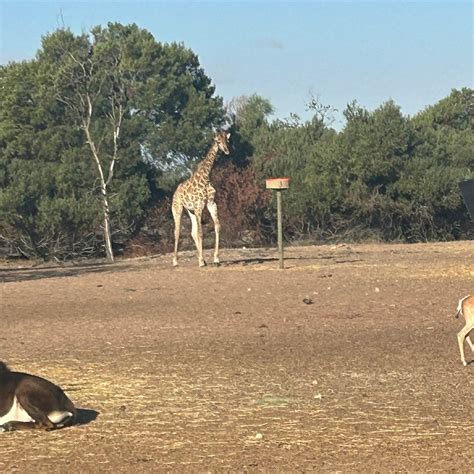 KALMEER GAME LODGE (Cape Town) - Lodging Reviews & Photos - Tripadvisor