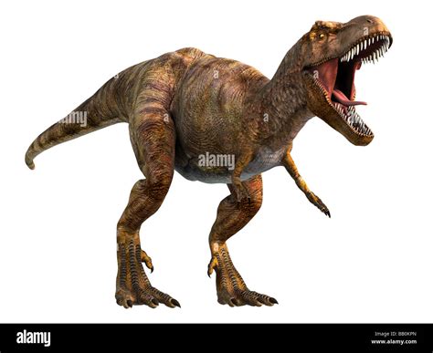 Tyrannosaurus Rex (meaning "Tyrant Lizard King") T-Rex lived in Western ...