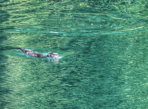Exploding Lake 的图像结果