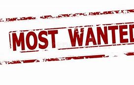 Image result for Most Wanted Text