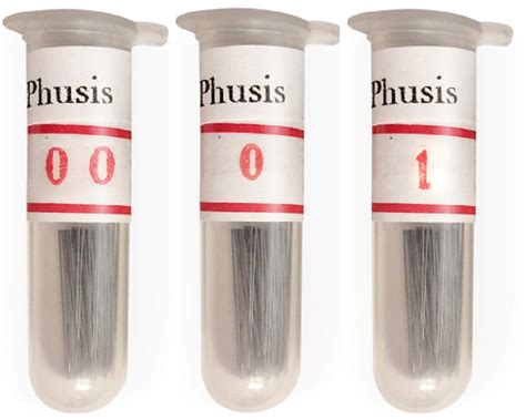 Phusis Stainless Steel Insect Pins | Sizes #00, 0 and #1 | 100 of Each ...