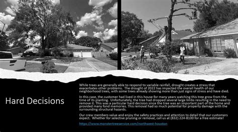 Image result for Houston TX Tree Service