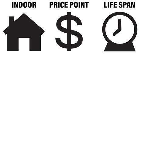 Image result for Poster Paper