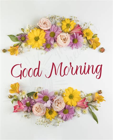 💖 Good Morning Images, GIF and Videos for FREE