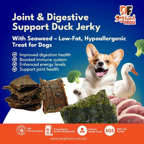 Joint & Digestive Support Duck Jerky with Seaweed (Subscription) - DF ...