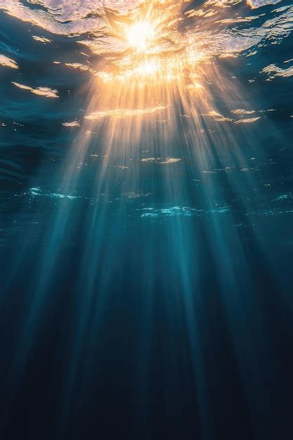 Reflection 的图像结果