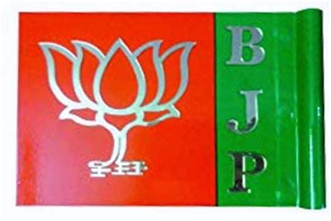 Sheela ad Makers 3D BJP Car Steel Flag Lamination : Amazon.in: Car ...