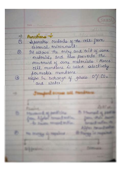 Image result for Class 9 Un Example