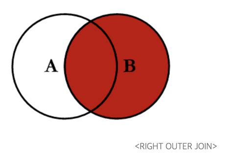 Outer Join Tutorial 的图像结果