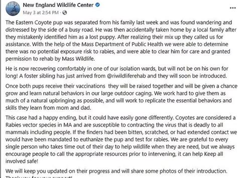 जिसे कुत्ते का बच्चा समझ सड़क से घर ले आया कपल, वो असल में निकला खतरनाक ...