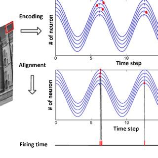 Frequency vs Phase Encoding 的图像结果