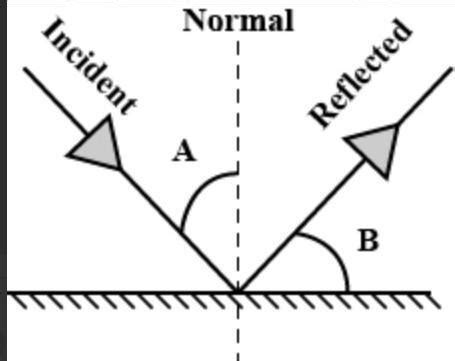 The angle between the incident ray and the normal is 30°. What will be ...